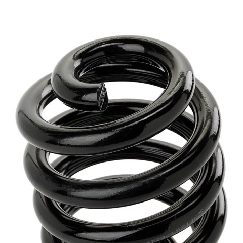 Ridex 188C1797 Coil Spring, photo 3