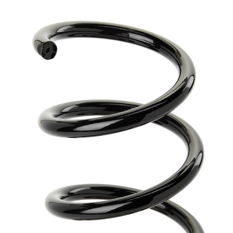 Ridex 188C1813 Coil Spring, photo 3