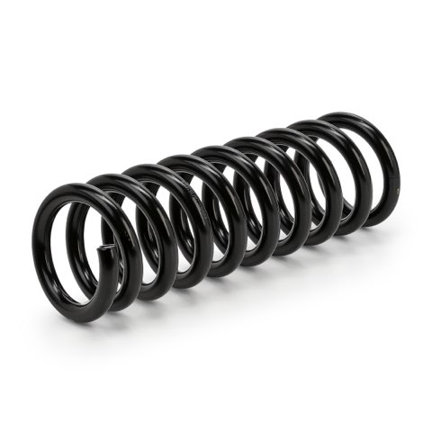Ridex 188C1814 Coil Spring, photo 2