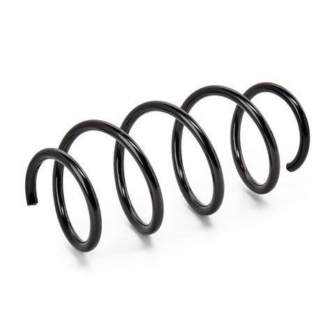 Ridex 188C1831 Coil Spring, photo 2