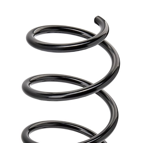 Ridex 188C1831 Coil Spring, photo 3