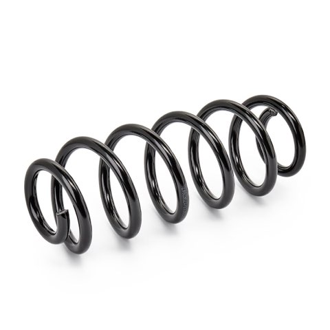 Ridex 188C1851 Coil Spring