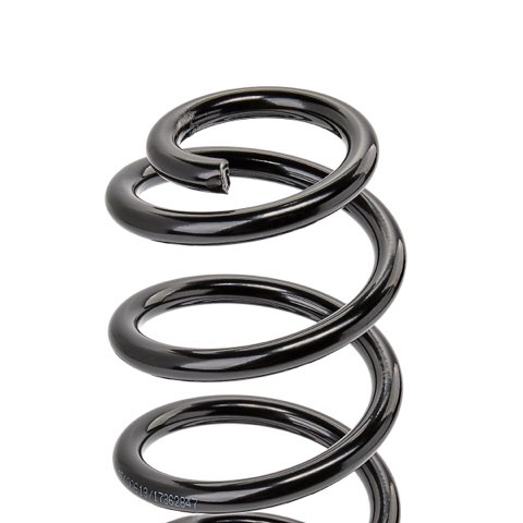 Ridex 188C1851 Coil Spring, photo 2