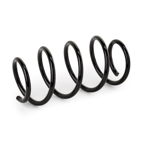 Ridex 188C1914 Coil Spring, photo 2