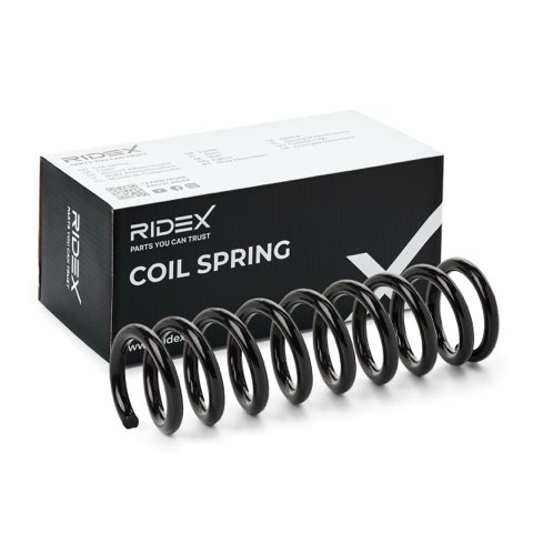 Ridex 188C1919 Coil Spring
