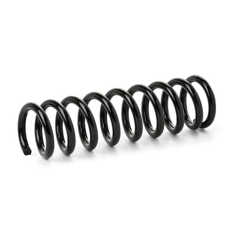 Ridex 188C1919 Coil Spring, photo 2