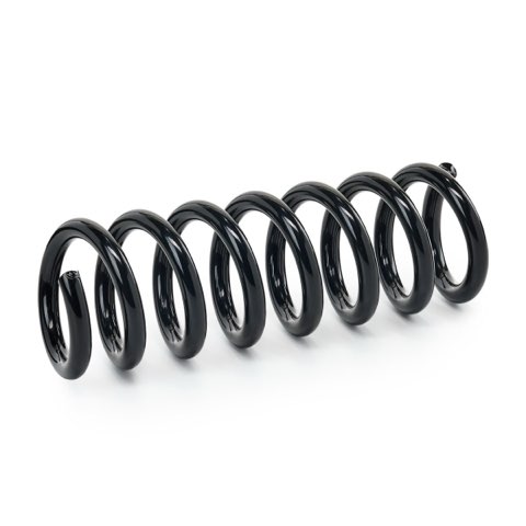 Ridex 188C1932 Coil Spring, photo 2