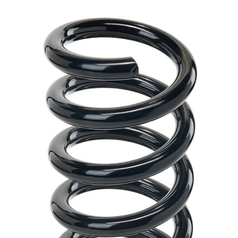 Ridex 188C1932 Coil Spring, photo 3
