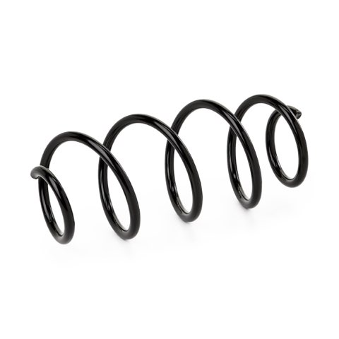 Ridex 188C1943 Coil Spring, photo 2