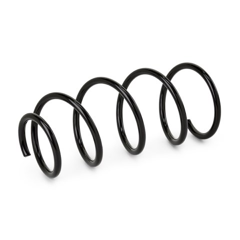 Ridex 188C2157 Coil Spring, photo 2
