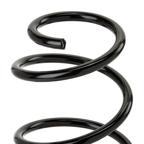 Ridex 188C2157 Coil Spring, photo 3