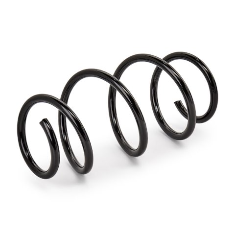 Ridex 188C2192 Coil Spring, photo 2