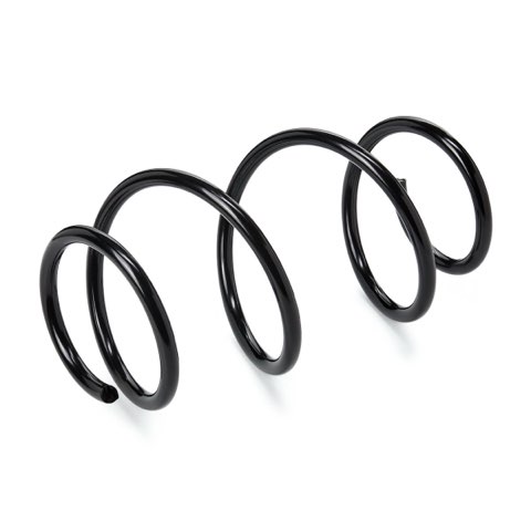 Ridex 188C2229 Coil Spring, photo 2