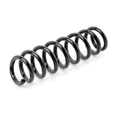Ridex 188C2230 Coil Spring, photo 2