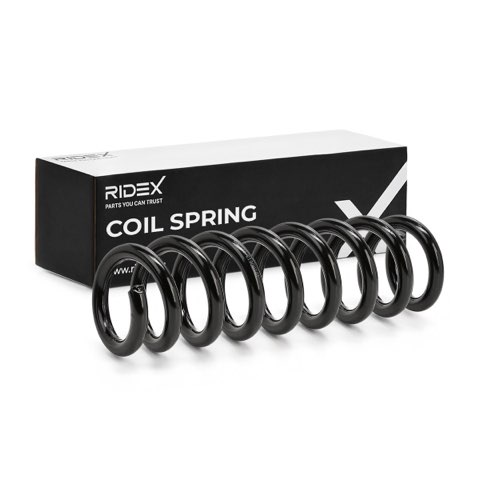 Ridex 188C2233 Coil Spring, photo 2