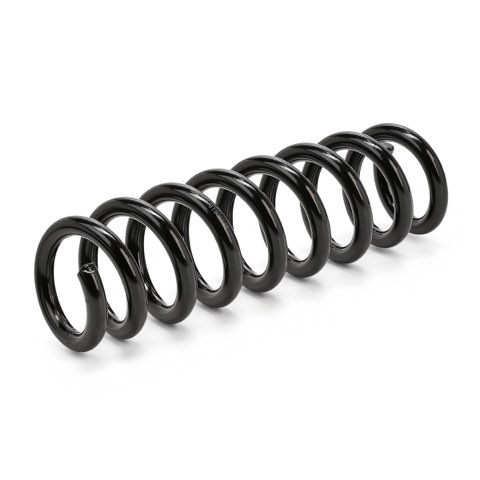Ridex 188C2233 Coil Spring, photo 3