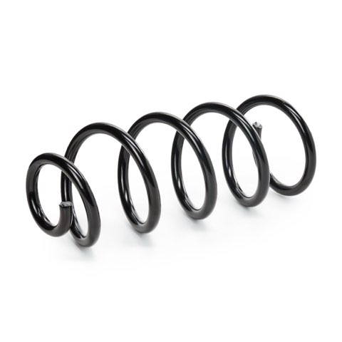 Ridex 188C2307 Coil Spring, photo 2