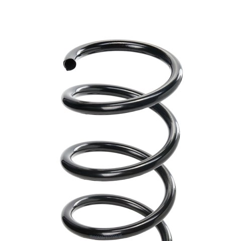 Ridex 188C2307 Coil Spring, photo 3