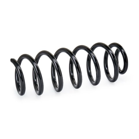 Ridex 188C2329 Coil Spring, photo 2