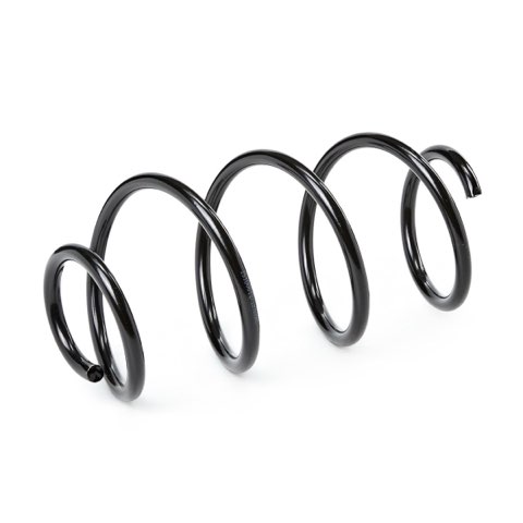 Ridex 188C2352 Coil Spring, photo 2