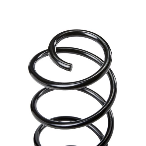 Ridex 188C2352 Coil Spring, photo 3