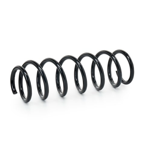 Ridex 188C2421 Rear Coil Spring, photo 2