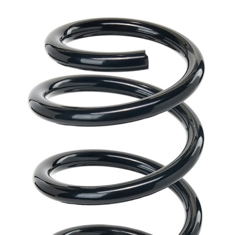Ridex 188C2421 Rear Coil Spring, photo 3