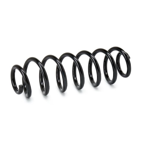 Ridex 188C2430 Coil Spring, photo 2