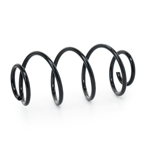 Ridex 188C2477 Coil Spring