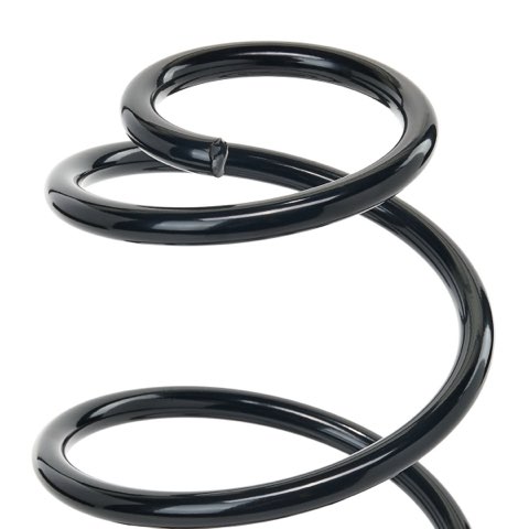 Ridex 188C2477 Coil Spring, photo 2