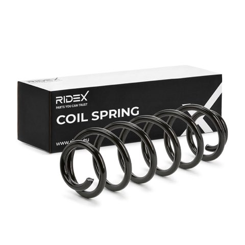 Ridex 188C2490 Coil Spring
