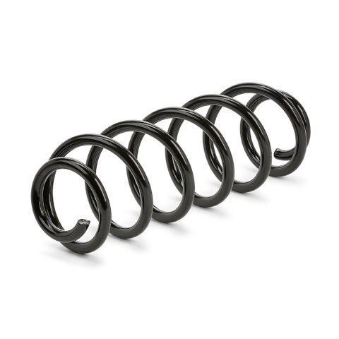 Ridex 188C2490 Coil Spring, photo 2