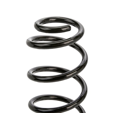 Ridex 188C2490 Coil Spring, photo 3