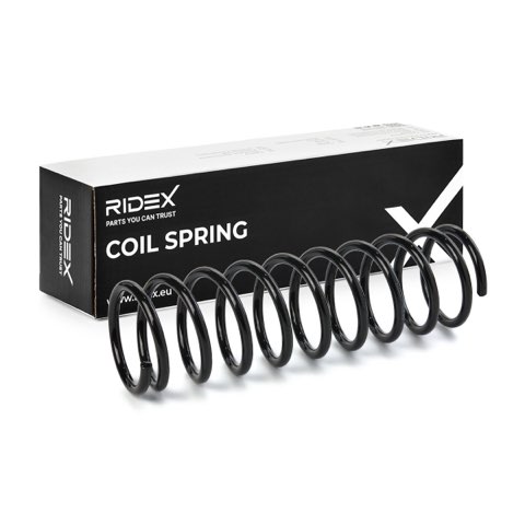 Ridex 188C3136 Coil Spring