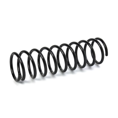 Ridex 188C3136 Coil Spring, photo 2