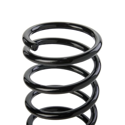 Ridex 188C3136 Coil Spring, photo 3
