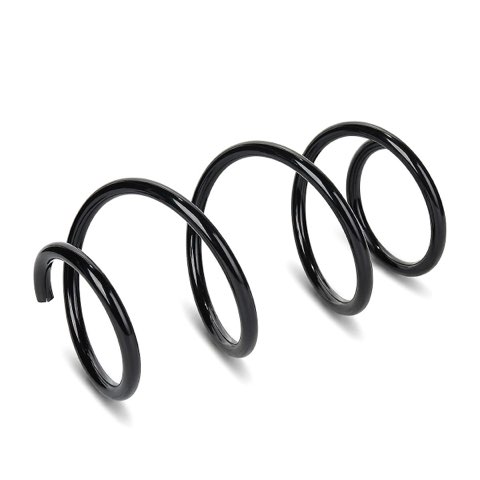 Ridex 188C3301 Coil Spring, photo 2
