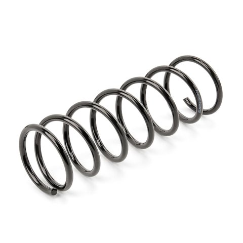 Ridex 188C3365 Coil Spring, photo 2