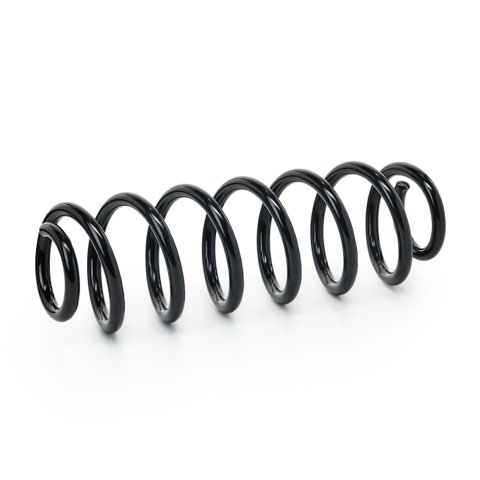 Ridex 188C3373 Coil Spring, photo 2