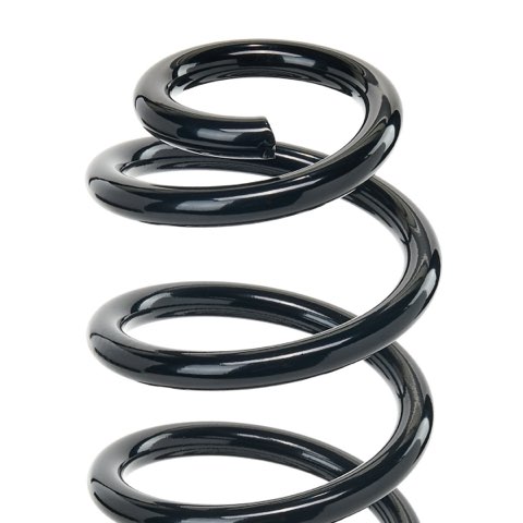 Ridex 188C3373 Coil Spring, photo 3