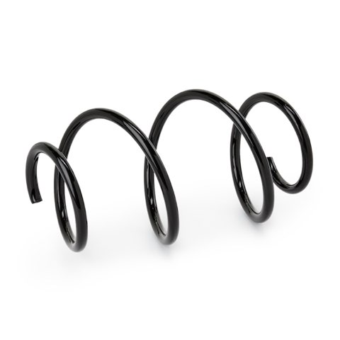 Ridex 188C3393 Coil Spring, photo 2