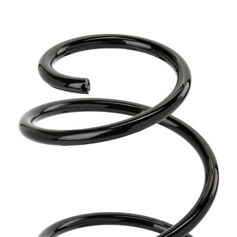 Ridex 188C3393 Coil Spring, photo 3