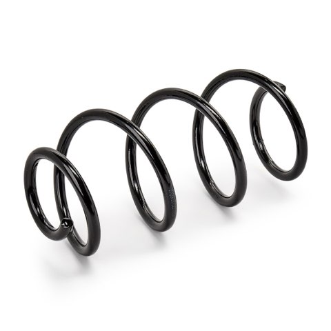 Ridex 188C3465 Coil Spring, photo 2