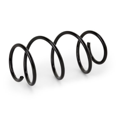 Ridex 188C3481 Coil Spring, photo 2