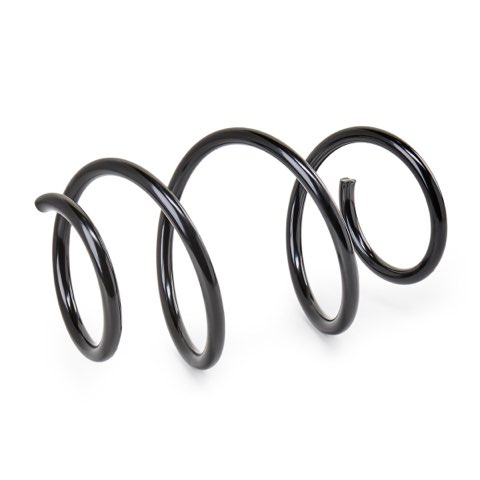 Ridex 188C3563 Coil Spring, photo 2