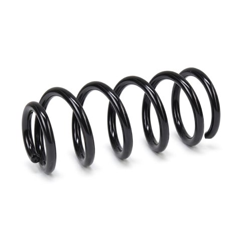 Ridex 188C3574 Coil Spring, photo 2