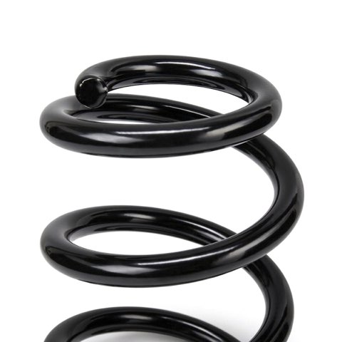 Ridex 188C3574 Coil Spring, photo 3
