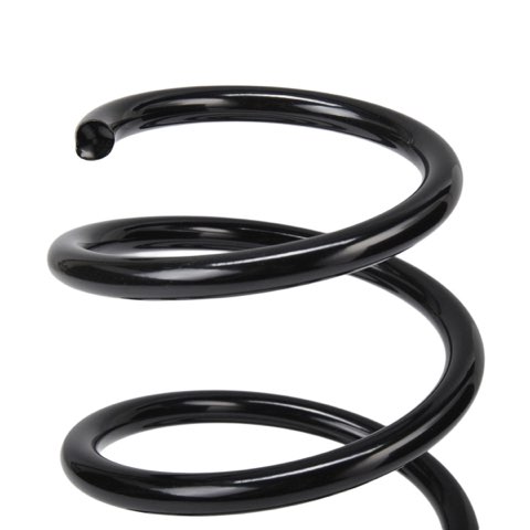 Ridex 188C3601 Coil Spring, photo 3
