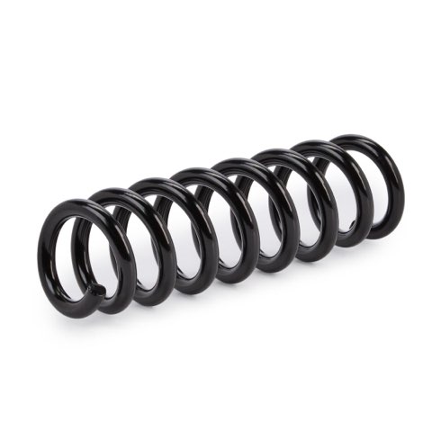 Ridex 188C3624 Coil Spring, photo 2