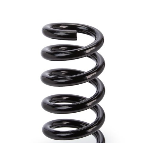 Ridex 188C3624 Coil Spring, photo 3